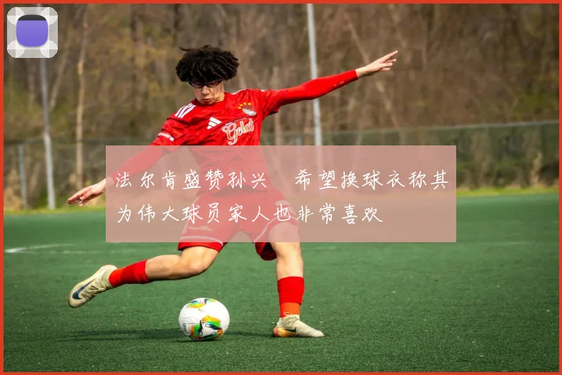 法尔肯盛赞孙兴慜希望换球衣称其为伟大球员家人也非常喜欢