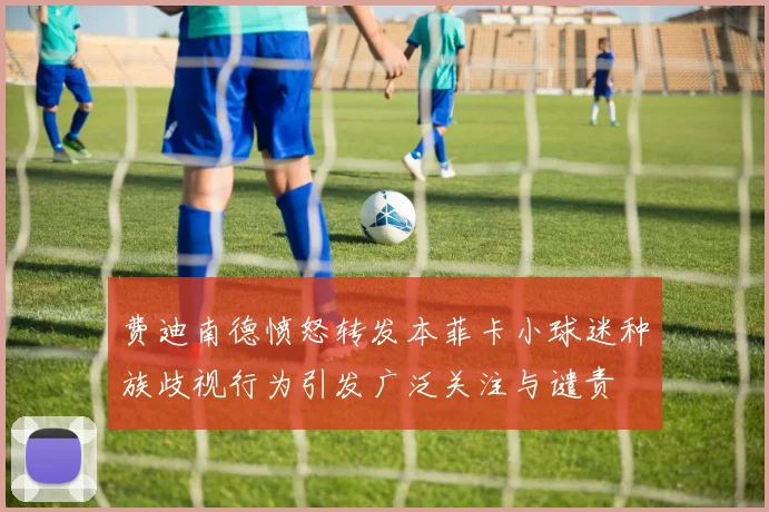 费迪南德愤怒转发本菲卡小球迷种族歧视行为引发广泛关注与谴责