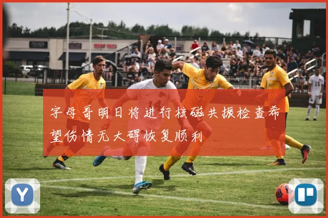字母哥明日将进行核磁共振检查希望伤情无大碍恢复顺利