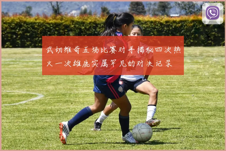 武切维奇五场比赛对手揭秘四次热火一次雄鹿实属罕见的对决记录